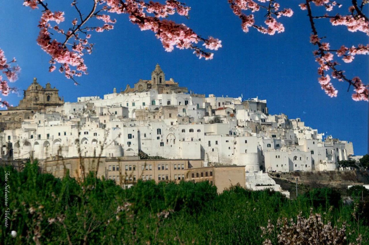 Villa Trullo Ramachandra 카로비그노 외부 사진